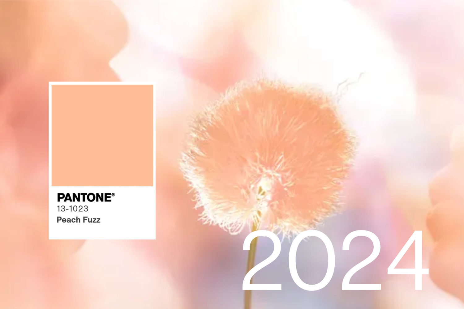 Peach Fuzz Pantone 2024